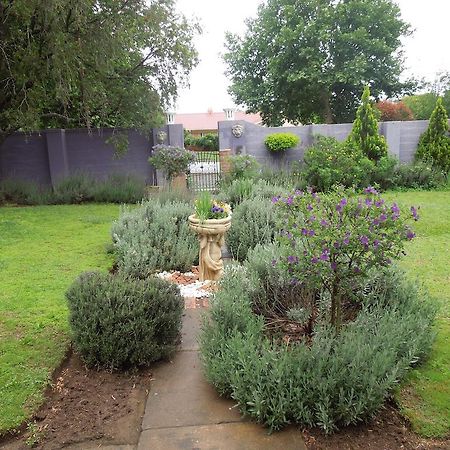 Lilac Lodge-Purple House Winterton Εξωτερικό φωτογραφία